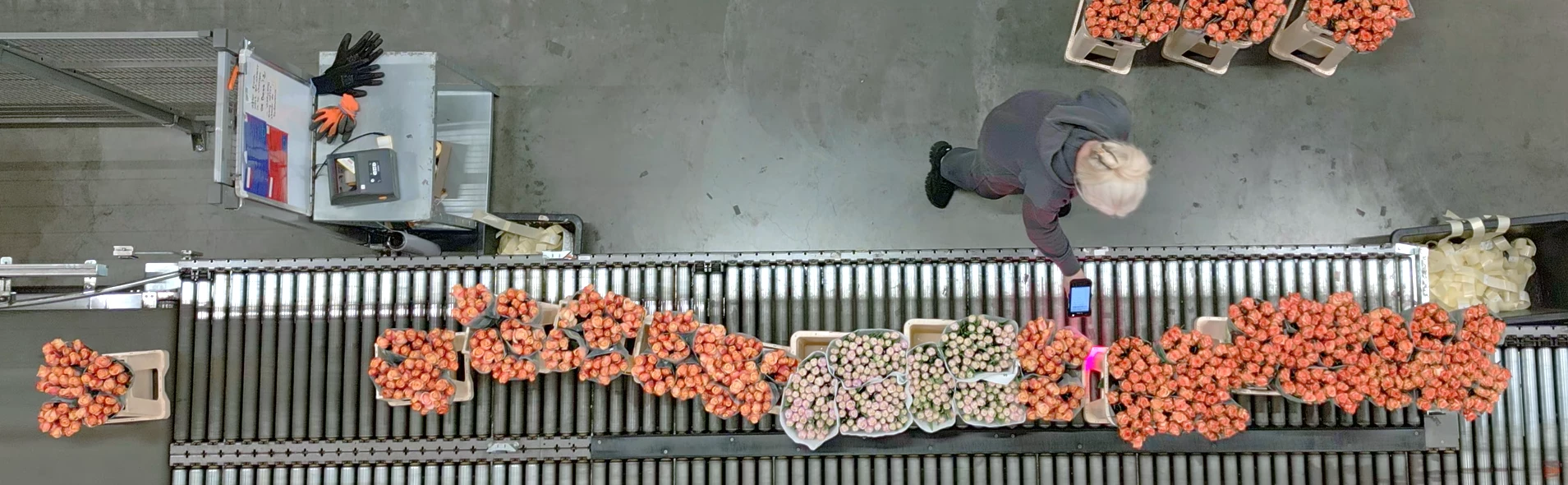 Medewerkster Florisoft achter een bureau met een groot glas thee