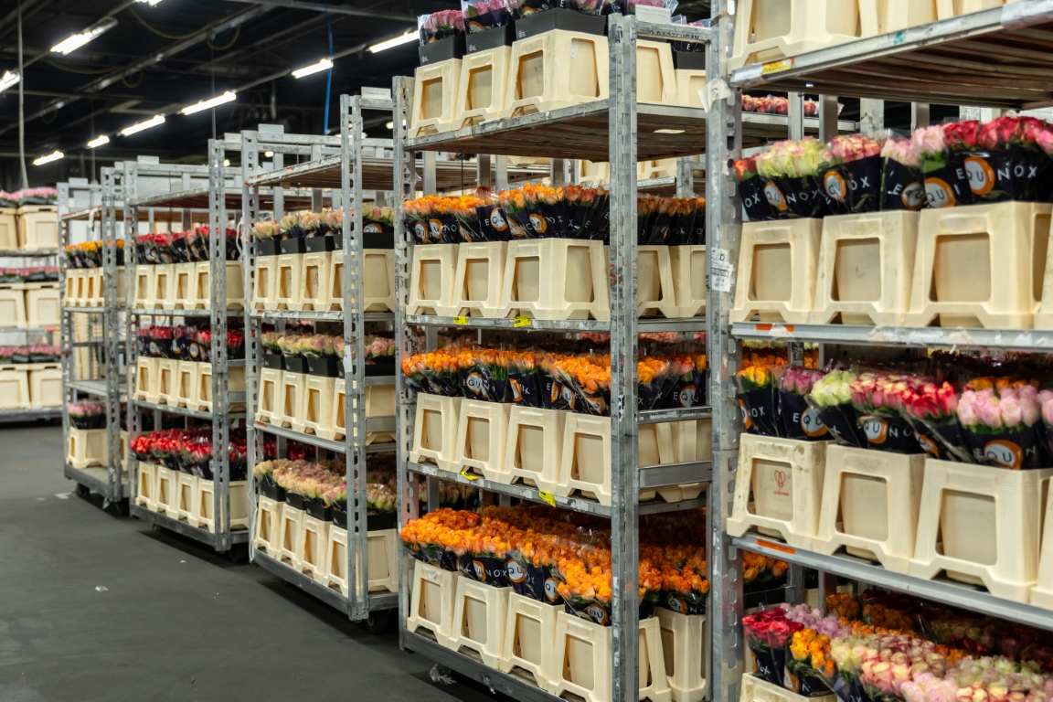 Florisoft - TrolleyBuilding App